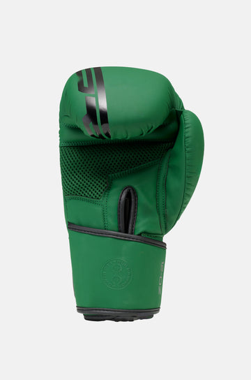 Armaplus Boxing Gloves